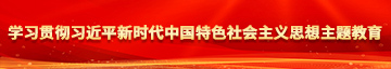 插骚妇嫩肥逼逼免费视频学习贯彻习近平新时代中国特色社会主义思想主题教育